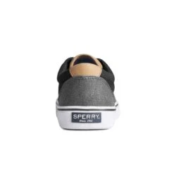 Sperry - Men's Striper II Shoes (STS23347) -Shoe Sales Store Sperry Men s Striper II Shoes STS23347 3