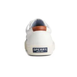 Sperry - Men's Striper Plushwave CVO Shoes (STS22983) 7 Sperry - Men's Striper Plushwave CVO Shoes (STS22983) -Shoe Sales Store Sperry Men s Striper Plushwave CVO Shoes STS22983 03